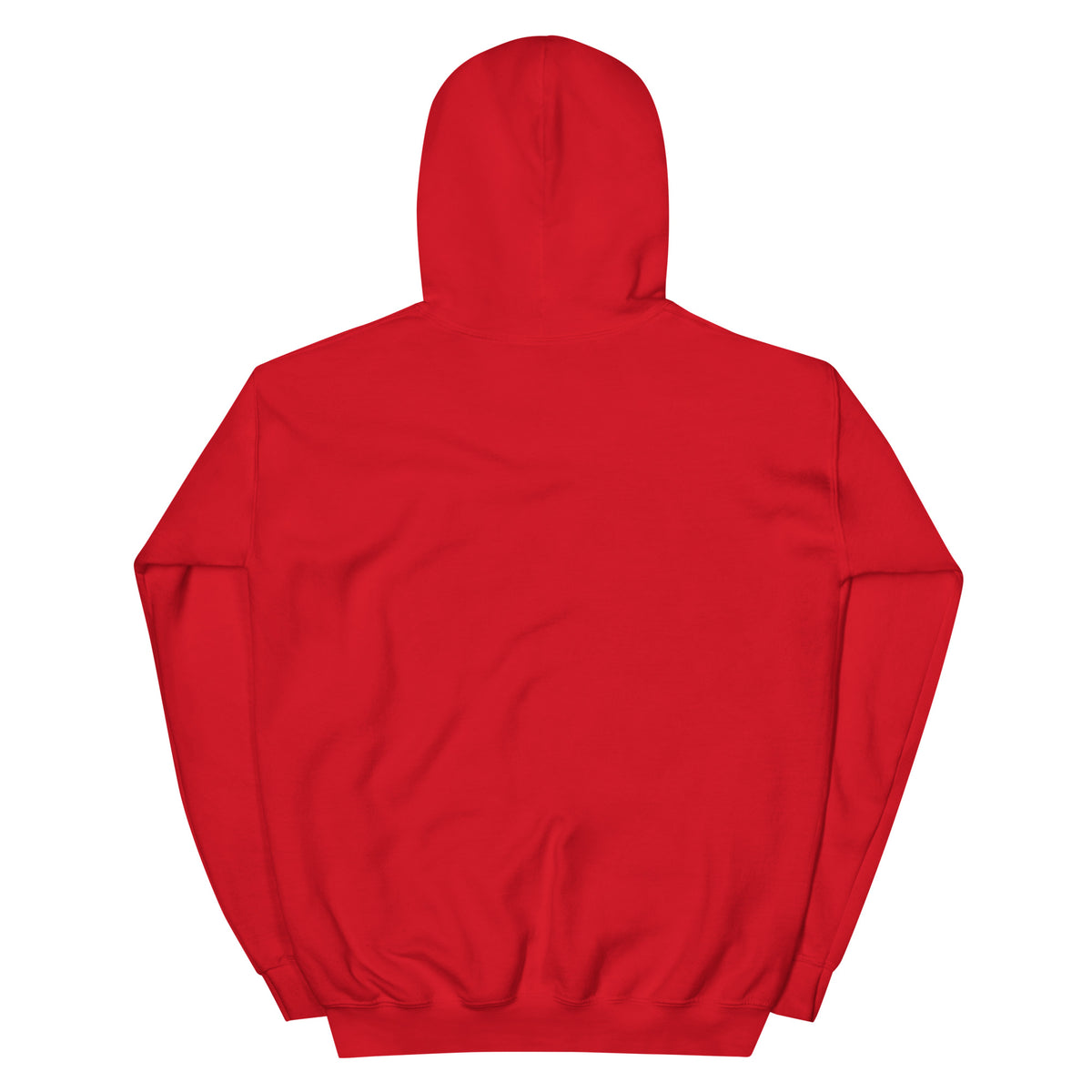 Genius Hoodie